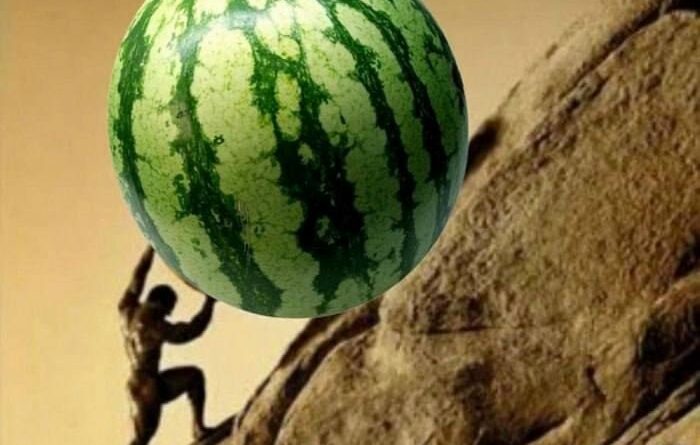 Почему от арбуза толстеют, хотя в нём нет калорий
